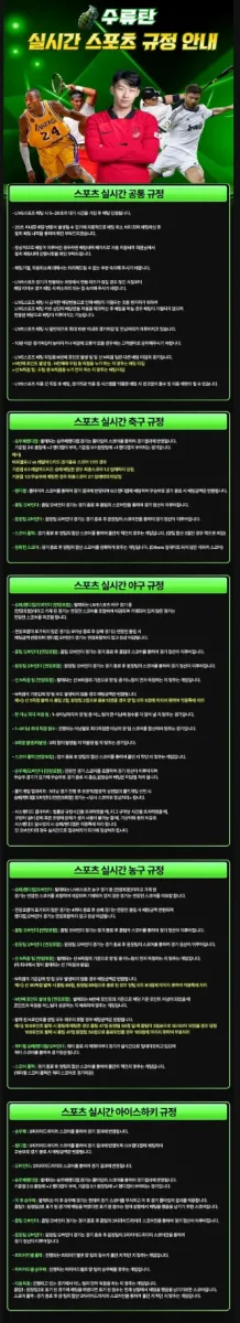 ▷ 인플레이 규정 안내 ◁